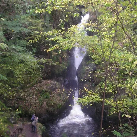 ベッド・アンド・ブレックファスト Brookfield