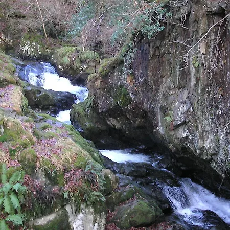 ベッド・アンド・ブレックファスト Brookfield