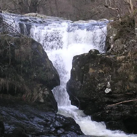 ベッド・アンド・ブレックファスト Brookfield